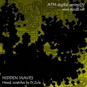 Hidden Waves (atmds09)